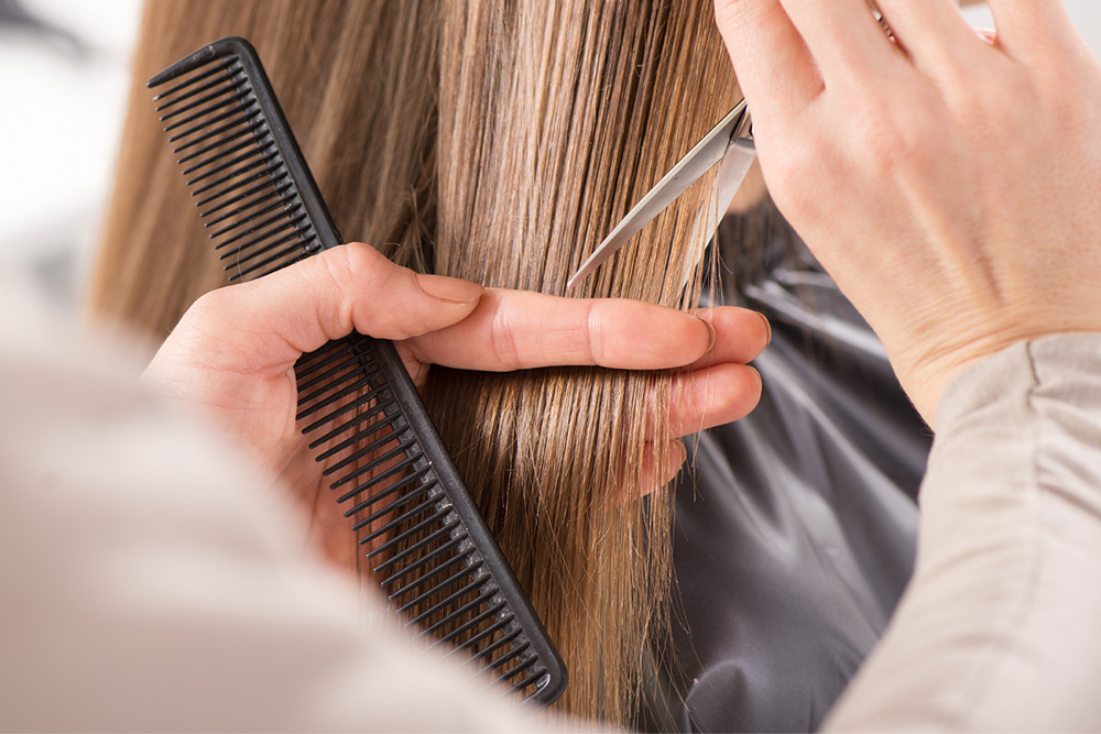photo of hair being cut
